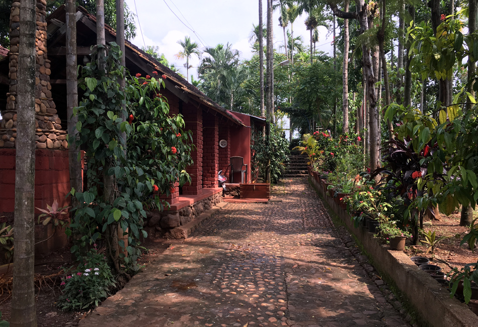 Valley of birds chikmagalur homestay gallery photos