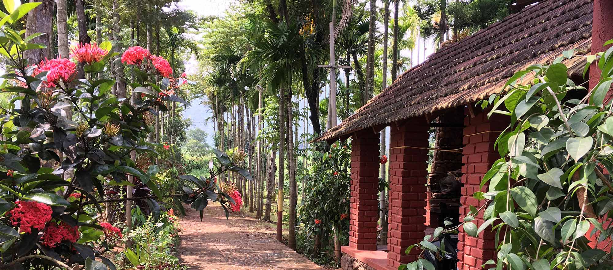 Valley of Birds - Chikmagalur Homestay