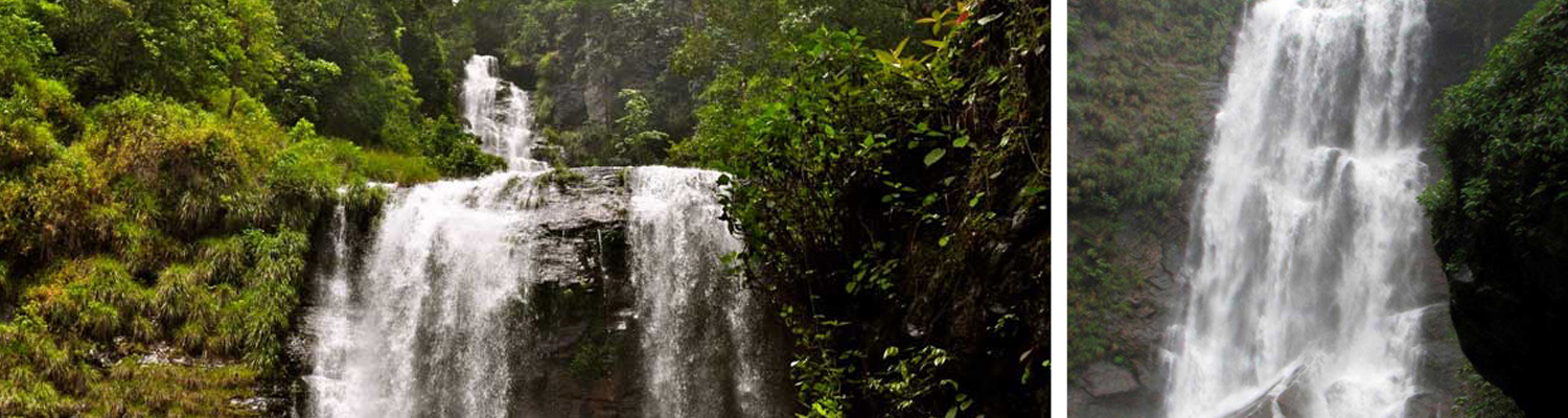 Chikmagalur Homestay near Hebbe Falls