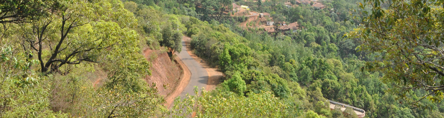 homestay near Kemmanagundi